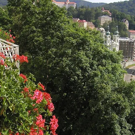 Rosa Guest house