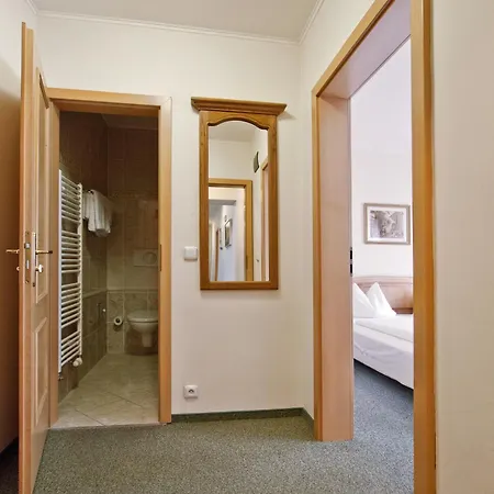 Guest house Rosa 3*
